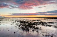 Waddenzee van Richard Gilissen thumbnail