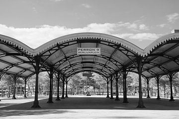 Old platform canopies, Utrecht Centraal by Framed by Elisabeth