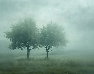 Herbstnebel