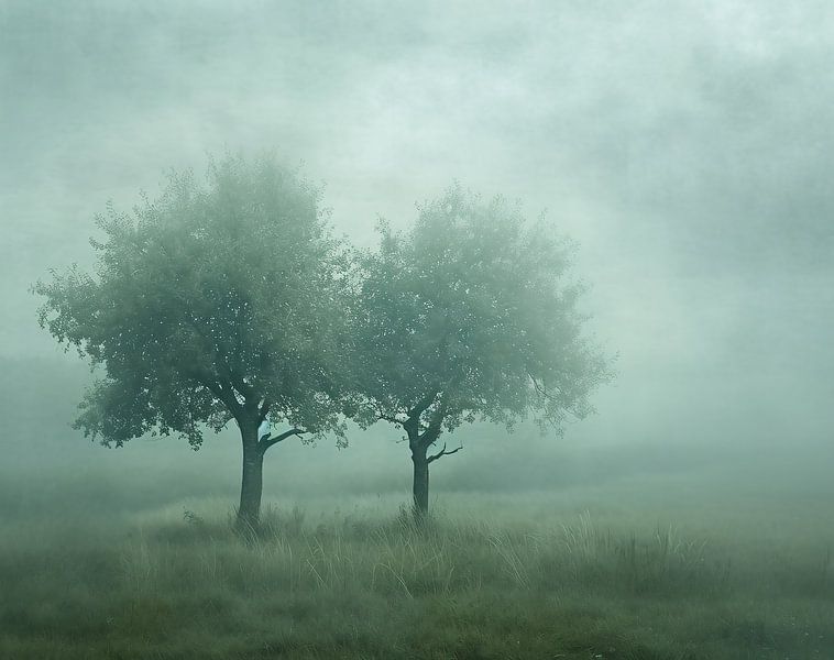 Herbstnebel von fernlichtsicht