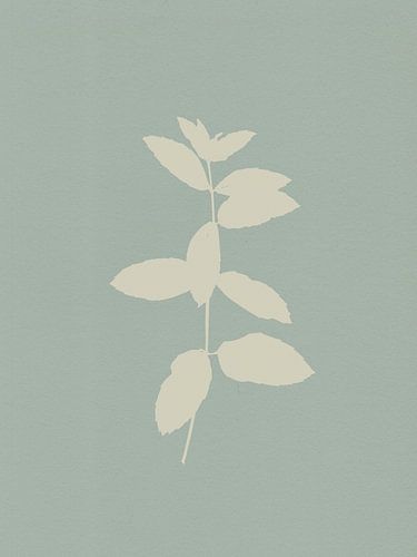 Minimalistisch botanisch. Plant in wit op salie.