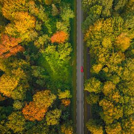 Autumn road through a forest with colorful leaves seen from abov by Sjoerd van der Wal