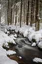 Bach im Winter von Dirk Rüter Miniaturansicht