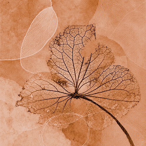 Art botanique en techniques mixtes : Feuille squelettique transparente et raffinée
