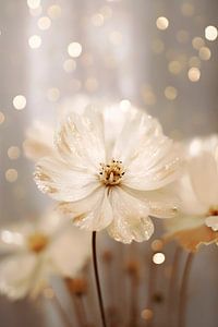 Pastel Dry Flowers No 5