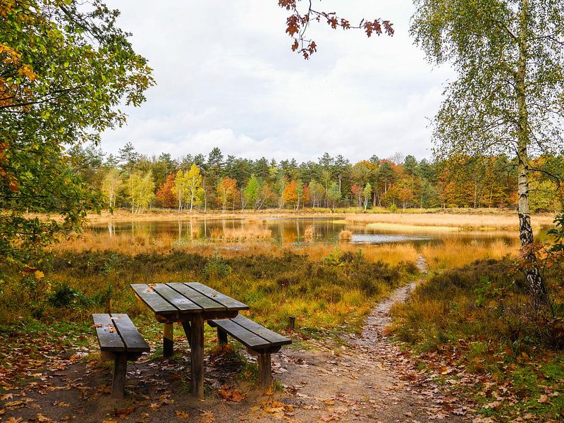Herbst 22 von snippefotografie