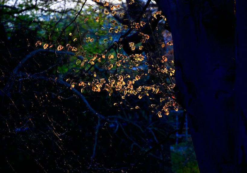 Spring evening by Thomas Jäger