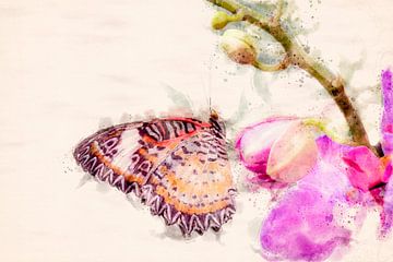 Papillon sur orchidée (montage aquarelle)