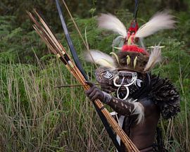 A warrior of the Dani tribe in the Baliem valley by Anges van der Logt