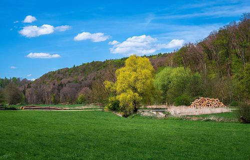 Paysage idyllique dans la vallée de la Schutter près de Neuburg an der Donau