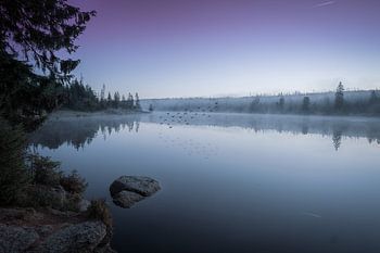 Morgenstimmung am Oderteich im Harz