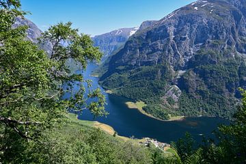 Neroyfjorden von Bettina Schnittert
