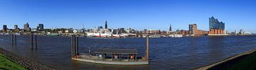 Hamburgse skyline met veerbootpier