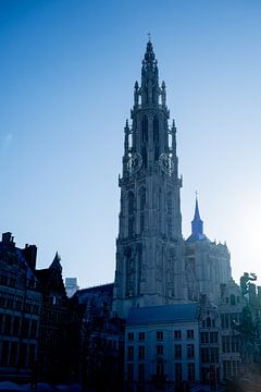 Antwerp Cathedral of Our Lady by Alida Stam-Honders