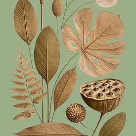 Silence botanique en sauge et or sur Max Steinwald