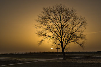 Sonne hinter Nebel