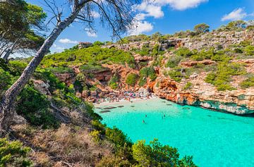 Idyllisch strandlandschap op Mallorca, Balearen, Spanje van Alex Winter