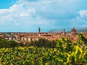 Skyline van Florence vanaf Piazzale Michelangelo van Kwis Design thumbnail