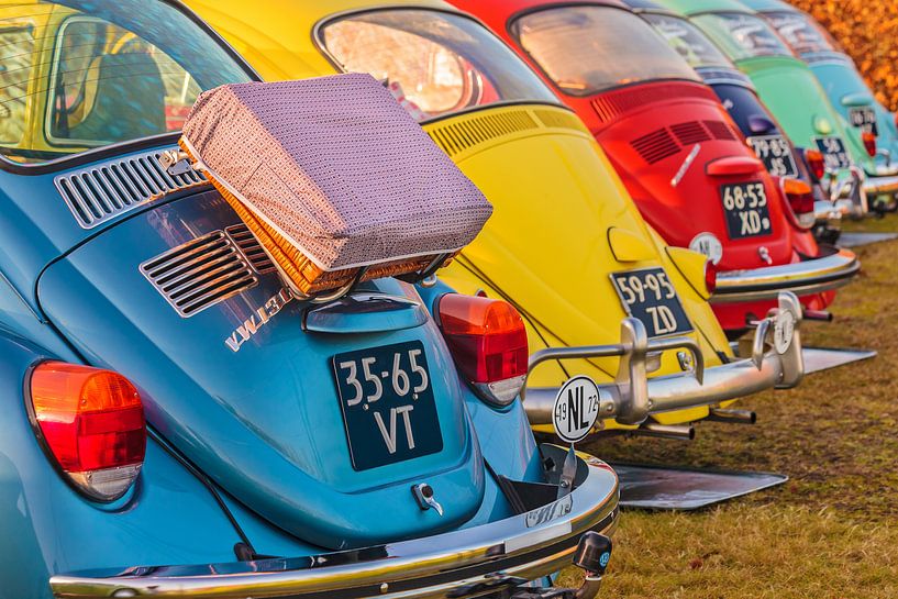 Rij kleurrijke Volkswagen Kevers van Martin Bergsma
