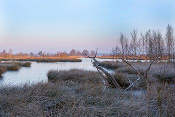 Sunrise in national park Dwingelderveld