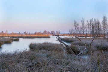 Zonsopkomst in nationaal park Dwingelderveld van Francois Wieringa