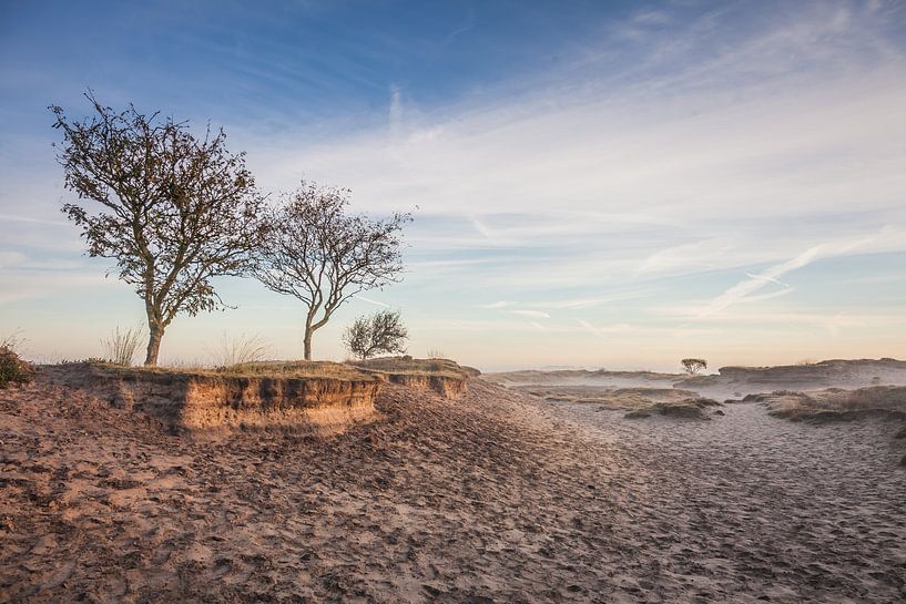 Dérive de sable sur le Dwingelderveld par Anneke Hooijer