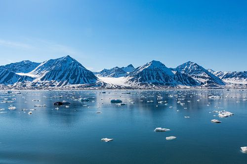 Spitsbergen - Spitsbergen - Noordpoolgebied