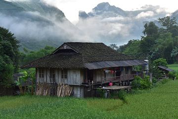 Prachtige rijstvelden Vietnam van Tim Reginald Velten