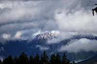 Snowy peaks