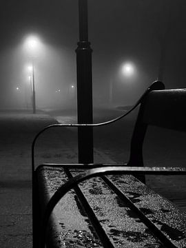 A misty evening in January by Rob Pijnenburg