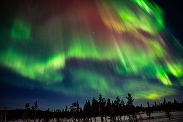 Dans of the Northernlights 3 van Jelle Bakker