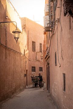 Ezel in een oud straatje in de medina van Marrakech