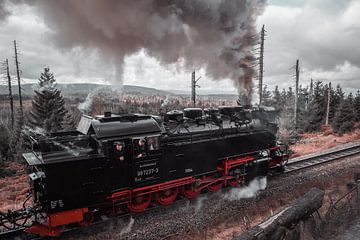 Harz Duisland steam locomotive autumn by Shorty's adventure