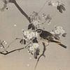 Watanabe Seitei - Oiseaux sur une branche en fleurs (1887) sur Peter Balan