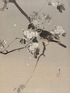 Watanabe Seitei - Birds on a flowering branch (1887) by Peter Balan