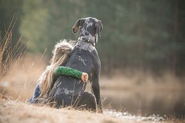 Beste Freunde mit einer Deutschen Dogge