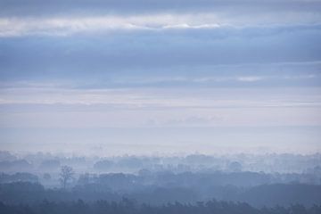 Vue de l'Archemerberg sur Douwe Schut
