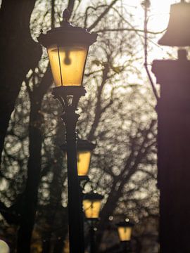 De straatlantaarns aan de Nieuwe gracht in Utrecht van Martijn Wit