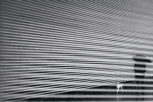 Street photography Berlin - Spaziergang mit Hund