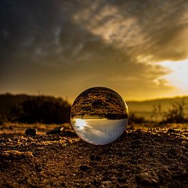 Natuurfoto met een lensbal van Jeroen Beemsterboer