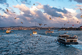 Fähren und Möven am Bosporus