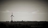 Windkraftanlage in einem Industriegebiet in Magdeburg von Heiko Kueverling Miniaturansicht