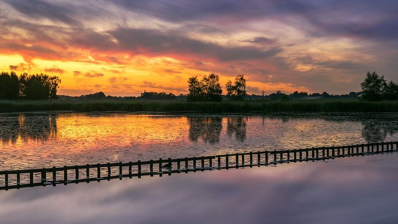 Zonsondergang Woudbloem van Marga Vroom