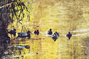 Enten im Herbstlicht