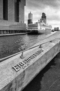 Pont Erasmus 