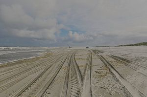 Traces dans le sable