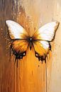 Butterfly in warm shades by Imperial Art House thumbnail