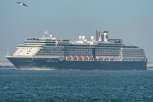 Kreuzfahrtschiff der Holland America Line: Zuiderdam.