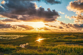 Marais salants près de Dagebüll [Coucher de soleil I]