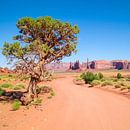 MONUMENT VALLEY Valley Drive by Melanie Viola thumbnail